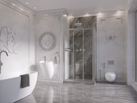 Душевой уголок Ambassador Forsa 17021102NX-80NX 110х80 см