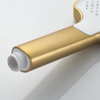 Смеситель с длинным изливом для ванны Shevanik S9922G золотой сатин Смеситель с длинным изливом для ванны Shevanik S9922G золотой сатин