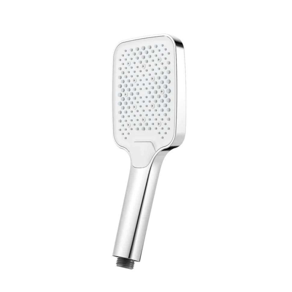 Душевая лейка Raglo R450.52 хром