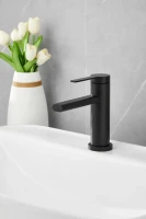 Смеситель для раковины BELZ B813 B10813-7 черный Смеситель для раковины BELZ B813 B10813-7 черный