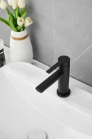 Смеситель для раковины BELZ B813 B10813-7 черный Смеситель для раковины BELZ B813 B10813-7 черный