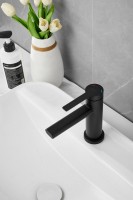 Смеситель для раковины BELZ B813 B10813-7 черный Смеситель для раковины BELZ B813 B10813-7 черный