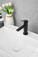 Смеситель для раковины BELZ B813 B10813-7 черный Смеситель для раковины BELZ B813 B10813-7 черный