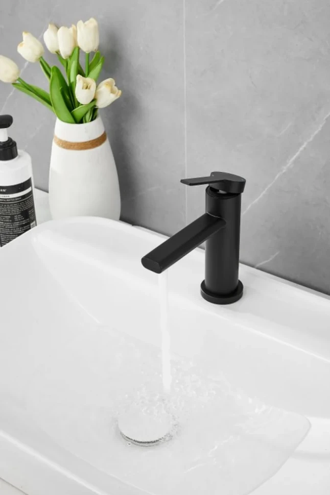Смеситель для раковины BELZ B813 B10813-7 черный