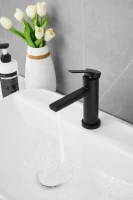 Смеситель для раковины BELZ B813 B10813-7 черный Смеситель для раковины BELZ B813 B10813-7 черный