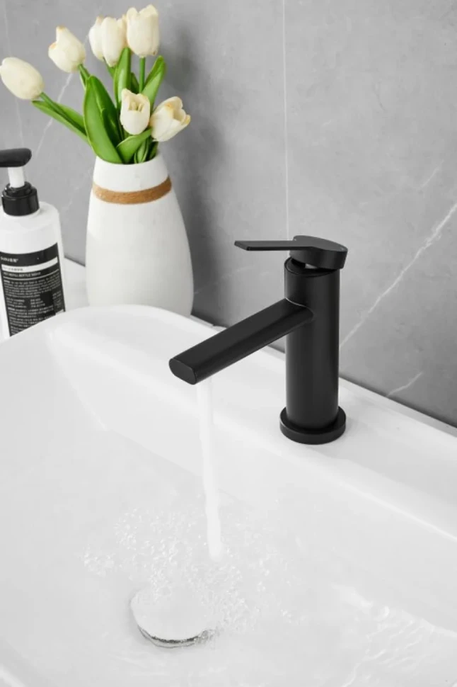 Смеситель для раковины BELZ B813 B10813-7 черный