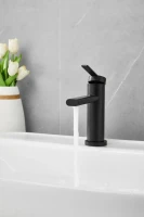 Смеситель для раковины BELZ B813 B10813-7 черный Смеситель для раковины BELZ B813 B10813-7 черный