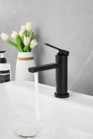 Смеситель для раковины BELZ B813 B10813-7 черный Смеситель для раковины BELZ B813 B10813-7 черный