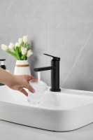 Смеситель для раковины BELZ B813 B10813-7 черный Смеситель для раковины BELZ B813 B10813-7 черный