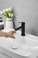 Смеситель для раковины BELZ B813 B10813-7 черный Смеситель для раковины BELZ B813 B10813-7 черный