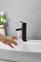 Смеситель для раковины BELZ B813 B10813-7 черный Смеситель для раковины BELZ B813 B10813-7 черный