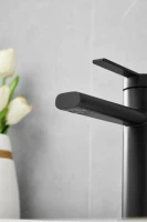 Смеситель для раковины BELZ B813 B10813-7 черный Смеситель для раковины BELZ B813 B10813-7 черный