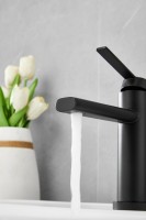 Смеситель для раковины BELZ B813 B10813-7 черный Смеситель для раковины BELZ B813 B10813-7 черный