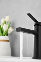 Смеситель для раковины BELZ B813 B10813-7 черный Смеситель для раковины BELZ B813 B10813-7 черный
