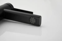 Смеситель для раковины BELZ B813 B10813-7 черный Смеситель для раковины BELZ B813 B10813-7 черный