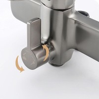 Душевая стойка Frap H62 F2462-9 оружейная сталь