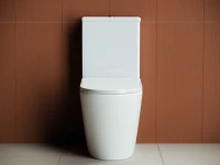 Унитаз-компакт напольный Ceramicanova Highlight Rimless CN1802