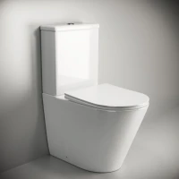 Унитаз-компакт напольный Ceramicanova Highlight Rimless CN1802