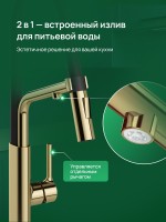 Смеситель для кухни Domaci Римини D569174CG с гибким изливом, золото