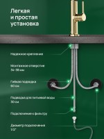 Смеситель для кухни Domaci Римини D569174CG с гибким изливом, золото