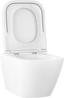 Унитаз подвесной Wellsee Pure BY Wellsee 182602001 безободковый, с микролифтом, глянцевый белый