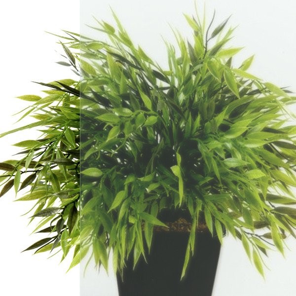 Душевой уголок Triton Терра -Голд 120х90, профиль золото, стекло прозрачное