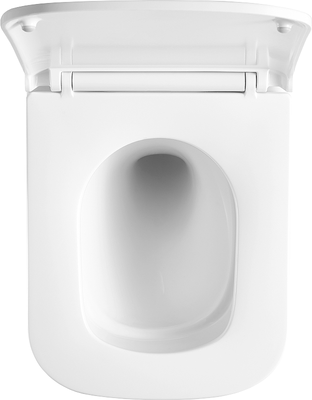 Комплект Lemark Florex 100124422 безободковый, с микролифтом, кнопка смыва белый глянец