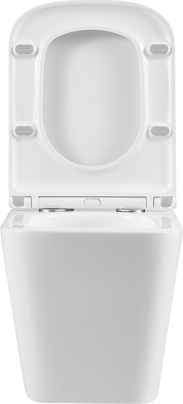 Комплект Lemark Florex 100124422 безободковый, с микролифтом, кнопка смыва белый глянец