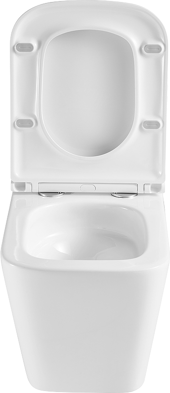 Комплект Lemark Florex 100124422 безободковый, с микролифтом, кнопка смыва белый глянец