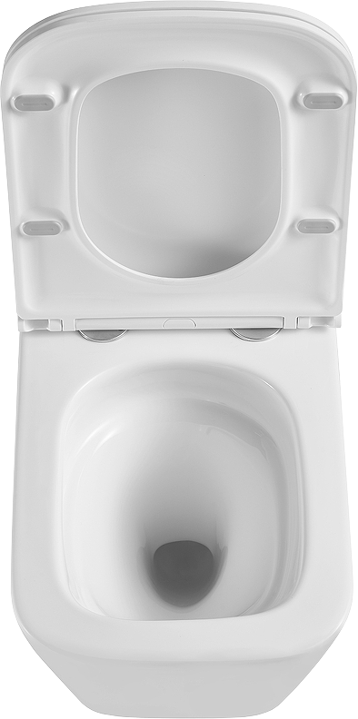 Комплект Lemark Florex 100124422 безободковый, с микролифтом, кнопка смыва белый глянец