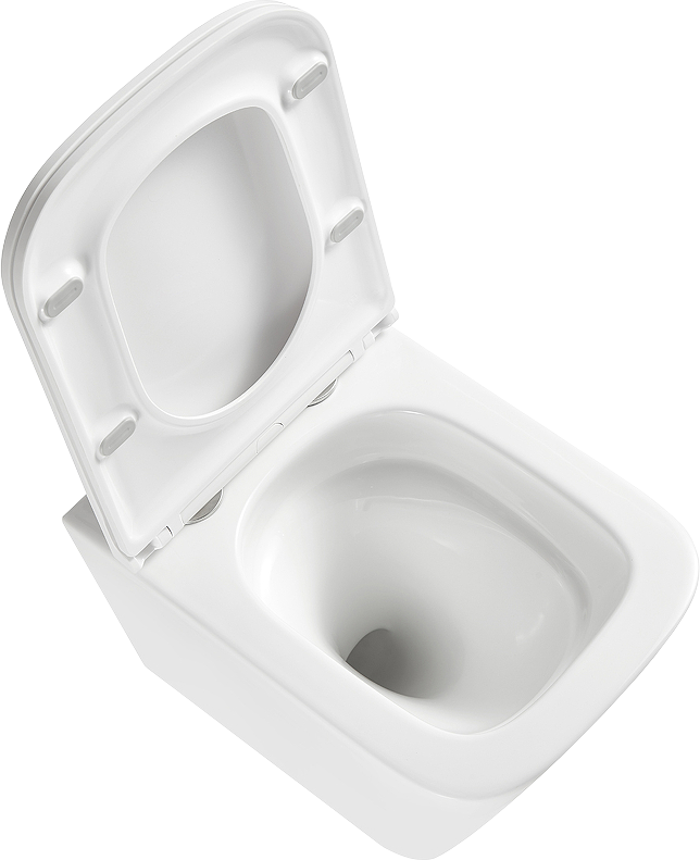 Комплект Lemark Florex 100124422 безободковый, с микролифтом, кнопка смыва белый глянец