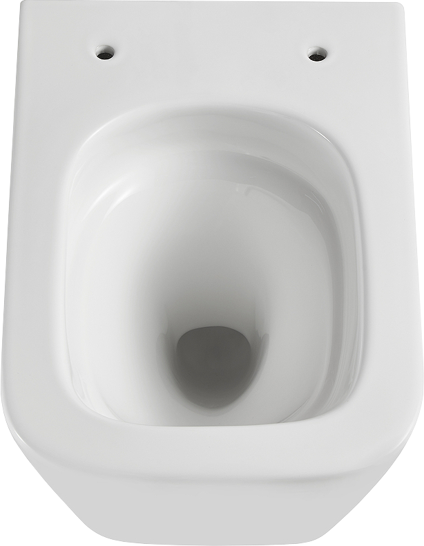 Комплект Lemark Florex 100124422 безободковый, с микролифтом, кнопка смыва белый глянец