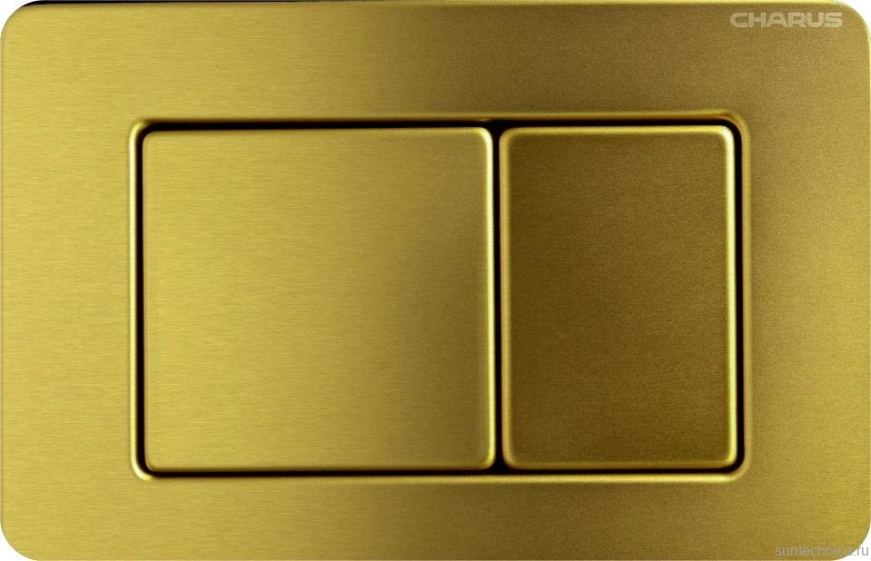 Кнопка смыва для унитаза CHARUS Robusto FP.310.BG.05 нержавеющая сталь