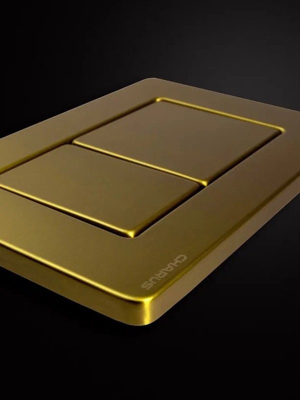 Кнопка смыва для унитаза CHARUS Robusto FP.310.BG.05 нержавеющая сталь