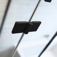 Душевой уголок Radaway Essenza New Black PTJ 90х100 L