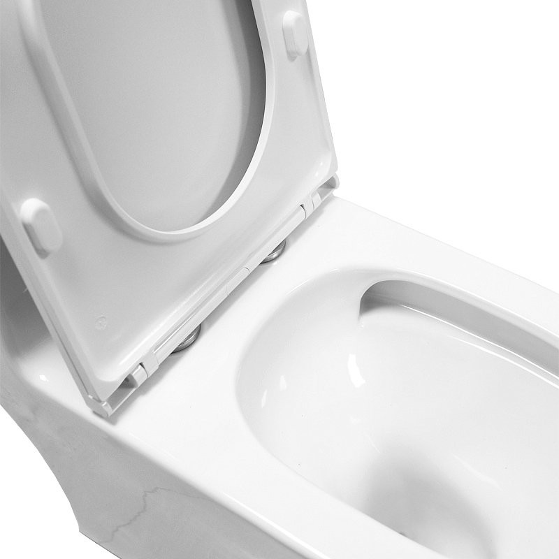 Унитаз-моноблок напольный AZARIO Vally AZ-80687 безободковый, с микролифтом, глянцевый белый