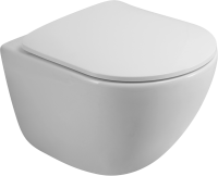 Унитаз подвесной BelBagno Amanda BB051CHR безободковый, крышка BB051-2SC с микролифтом