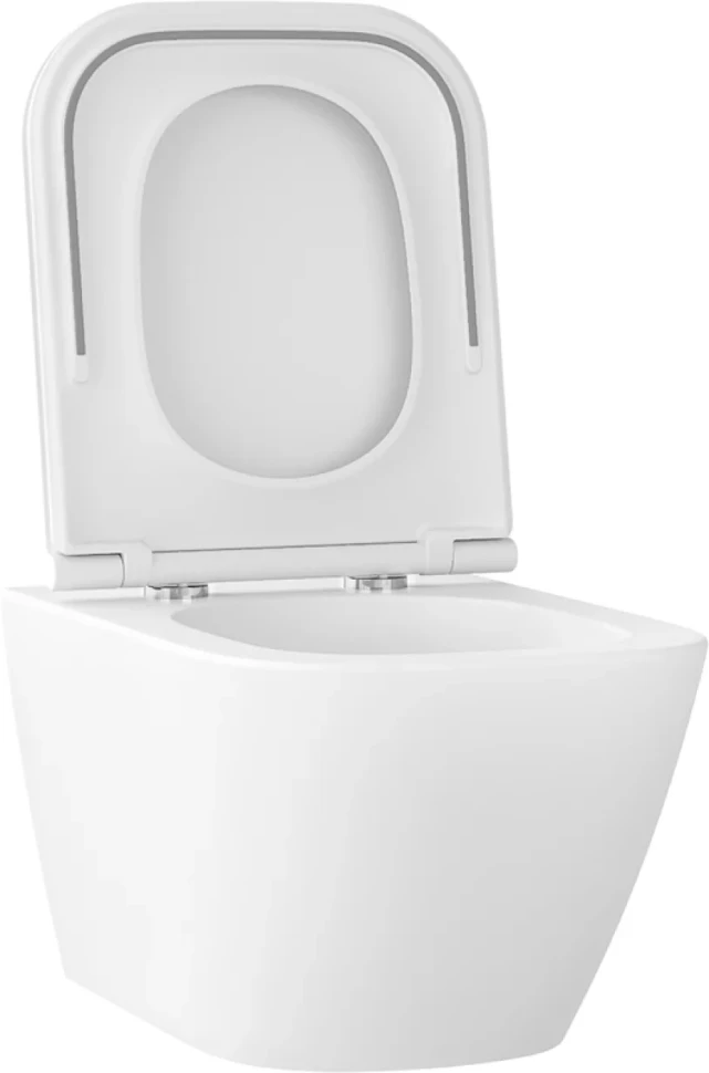 Унитаз подвесной Wellsee Pure BY Wellsee 182603001 безободковый, с микролифтом, матовый белый