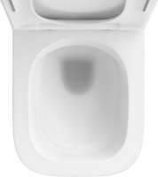 Унитаз подвесной Wellsee Pure BY Wellsee 182603001 безободковый, с микролифтом, матовый белый