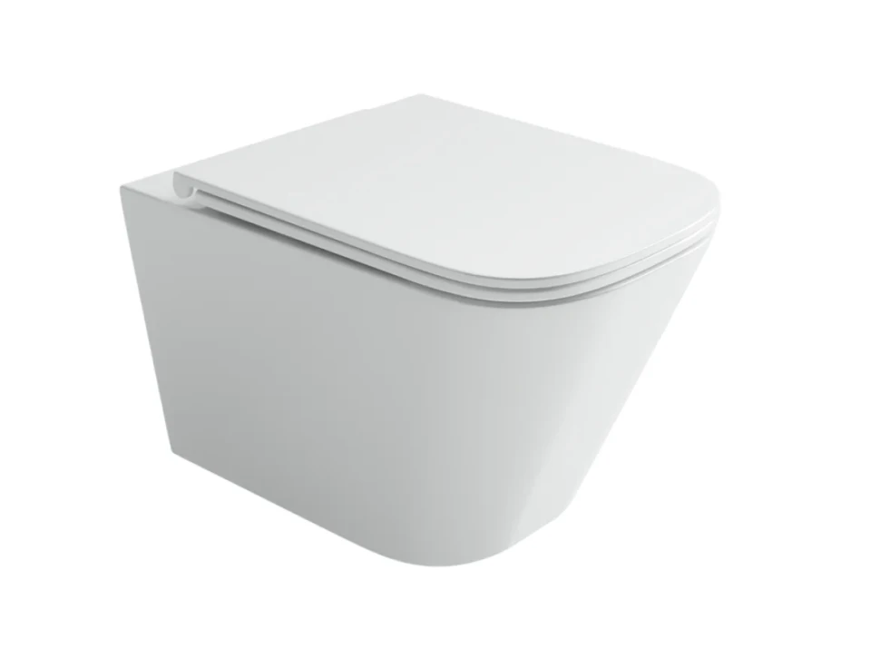 Унитаз подвесной Ceramicanova Union CN4009T с микролифтом, безободковый
