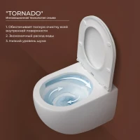 Унитаз подвесной Ceramicanova Union CN4009T с микролифтом, безободковый