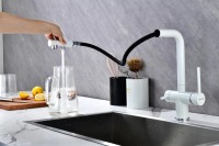 Смеситель для кухни Paulmark Serpentine Se213222-431 белый