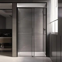 Дверь для душевого уголка Veconi Premium Trento PTD-40B 150 см, профиль черный матовый, стекло прозрачное