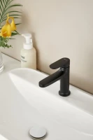 Смеситель для раковины BELZ B713 B10713-7 черный Смеситель для раковины BELZ B713 B10713-7 черный