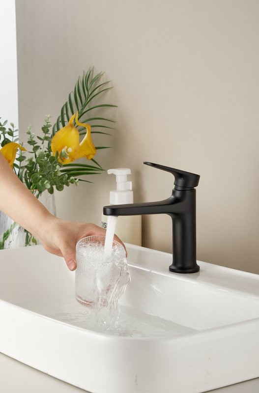 Смеситель для раковины BELZ B713 B10713-7 черный