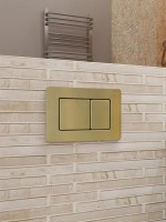 Кнопка смыва для унитаза CHARUS Robusto FP.310.BTG.05 нержавеющая сталь