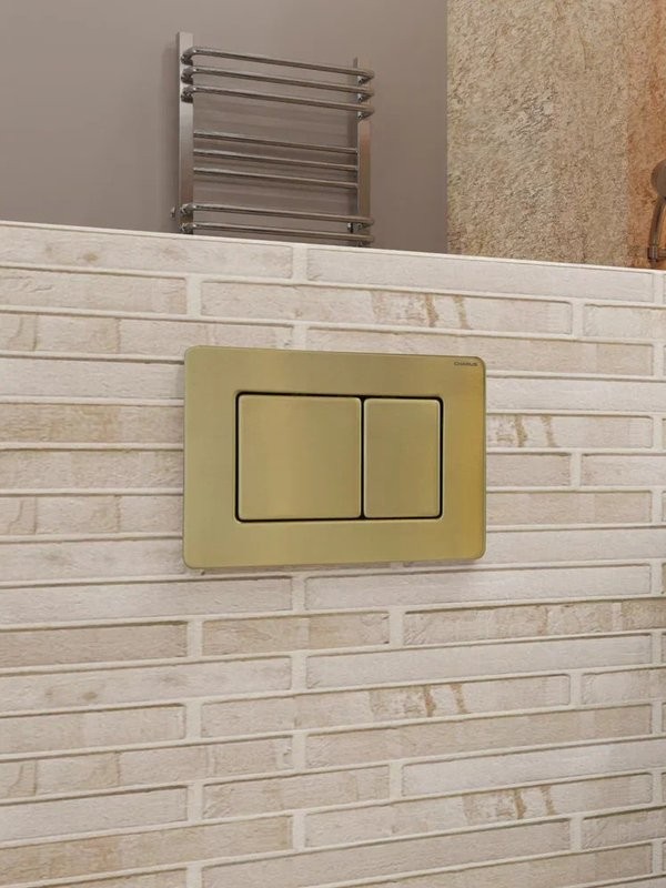 Кнопка смыва для унитаза CHARUS Robusto FP.310.BTG.05 нержавеющая сталь