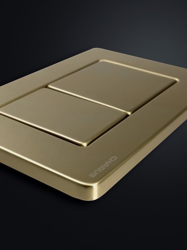 Кнопка смыва для унитаза CHARUS Robusto FP.310.BTG.05 нержавеющая сталь