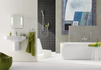 Душевая лейка Grohe Euphoria Cosmopolitan 27400000 Душевая лейка Grohe Euphoria Cosmopolitan 27400000