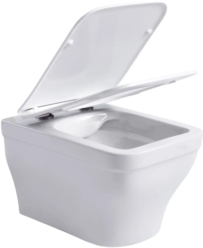 Унитаз подвесной Aquanet Elegant 280960 безободковый, с микролифтом, белый